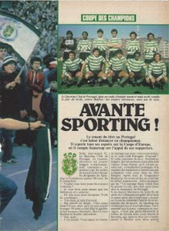 Read more about the article Avante Sporting